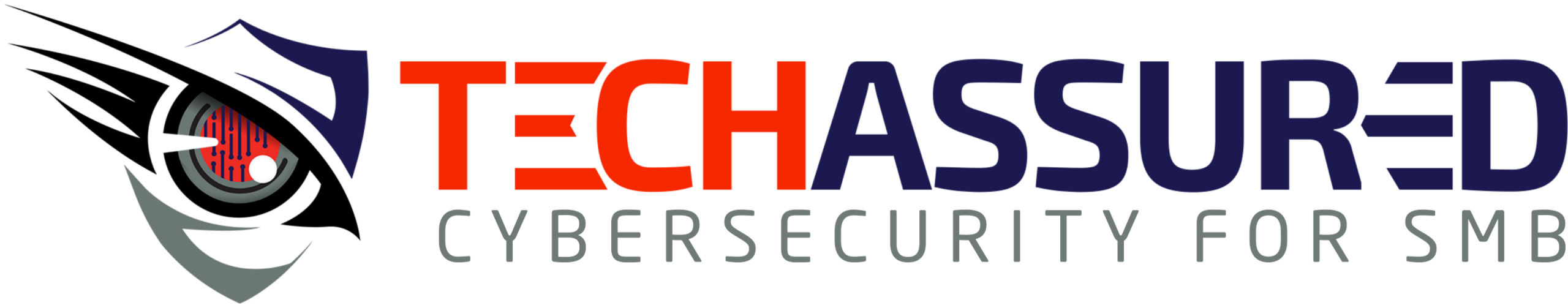 TechAssured - Cybersecurity Services